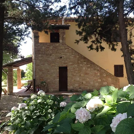 Fattoria Il Piano - Casa Tosca - *