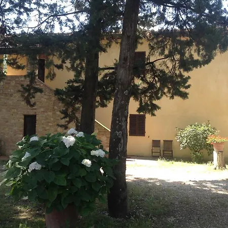 Fattoria Il Piano - Casa Tosca - *