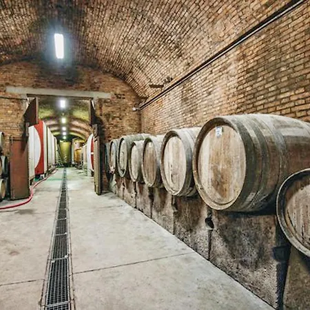 Appartement Fattoria Il Piano - Casa Tosca -