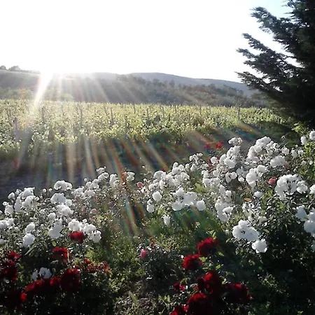 Fattoria Il Piano - Casa Tosca -