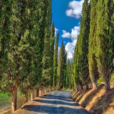 Fattoria Il Piano - Casa Tosca - San Gimignano